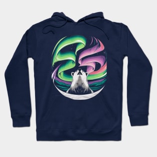 Northern Lights, Aurora Borealis Hoodie